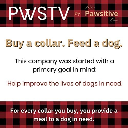 PWSTV Nyakörv által A Pawsitive Co. Vegyél egy Nyakörv. Takarmány egy Kutya. Tartós, Nylon Kiskutya Kutya Nyakörvek